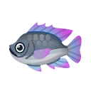 Fish Thirapia.png
