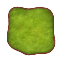 Car rug other fst56 moss cmps.png
