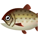 Fish Itou big.png