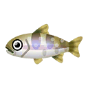 Fish ooiwana.png
