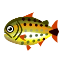 Fish Dorado.png