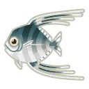 Fish Itohikiaji.png