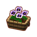 Furniture Potted White Pansies.png
