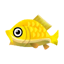 Fish nishikigoig.png