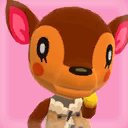 Fauna Picture.png