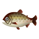 Fish Itou.png