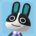 Dotty Picture.png