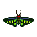 Insect akaeri.png