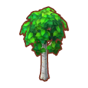 Int 2370 tree01 cmps.png