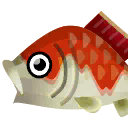 Fish Nishikigoi big.png