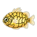 Fish Matsukasa.png