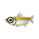 Fish 348001.png