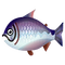 Fish kingsalmon.png