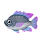 Fish Thirapia.png