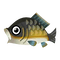 Fish Koi.png