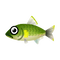 Fish Ayu.png