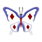 Winter Butterfly.png