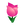 Pink Tulips.png