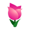 Pink Tulips.png