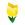 Yellow Tulips.png