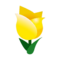 Yellow Tulips.png