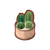 Int fst34 cactus cmps.png