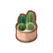 Int fst34 cactus cmps.png