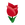 Red Tulips.png