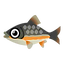 Fish 348002.png