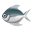 Fish Manakatsuo.png