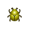 Insect Plakoga.png