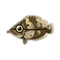 Fish Leaffish.png