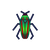 Jewel Beetle.png