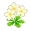 Ev flower 085 00.png