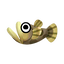 Freshwater Goby.png