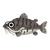 Fish tigernose.png