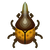 Insect helkbt.png