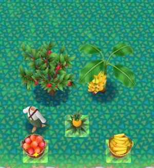 Fruit Frenzy 1 Comp.png