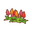 Int fst64 celosia cmps.png