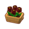 Furniture Potted Black Tulips.png