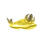 Honey Sea Slug.png