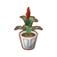 Int plt ananas.png