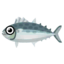 Fish Sawara.png