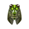 Insect Minmin.png