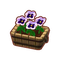 Furniture Potted White Pansies.png