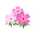 Ev flower 018 00.png