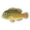 Fish fst3802.png