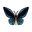 Insect Aomeganeageha.png