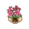 Int gar61 flower2 cmps.png