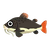 Fish redtail.png